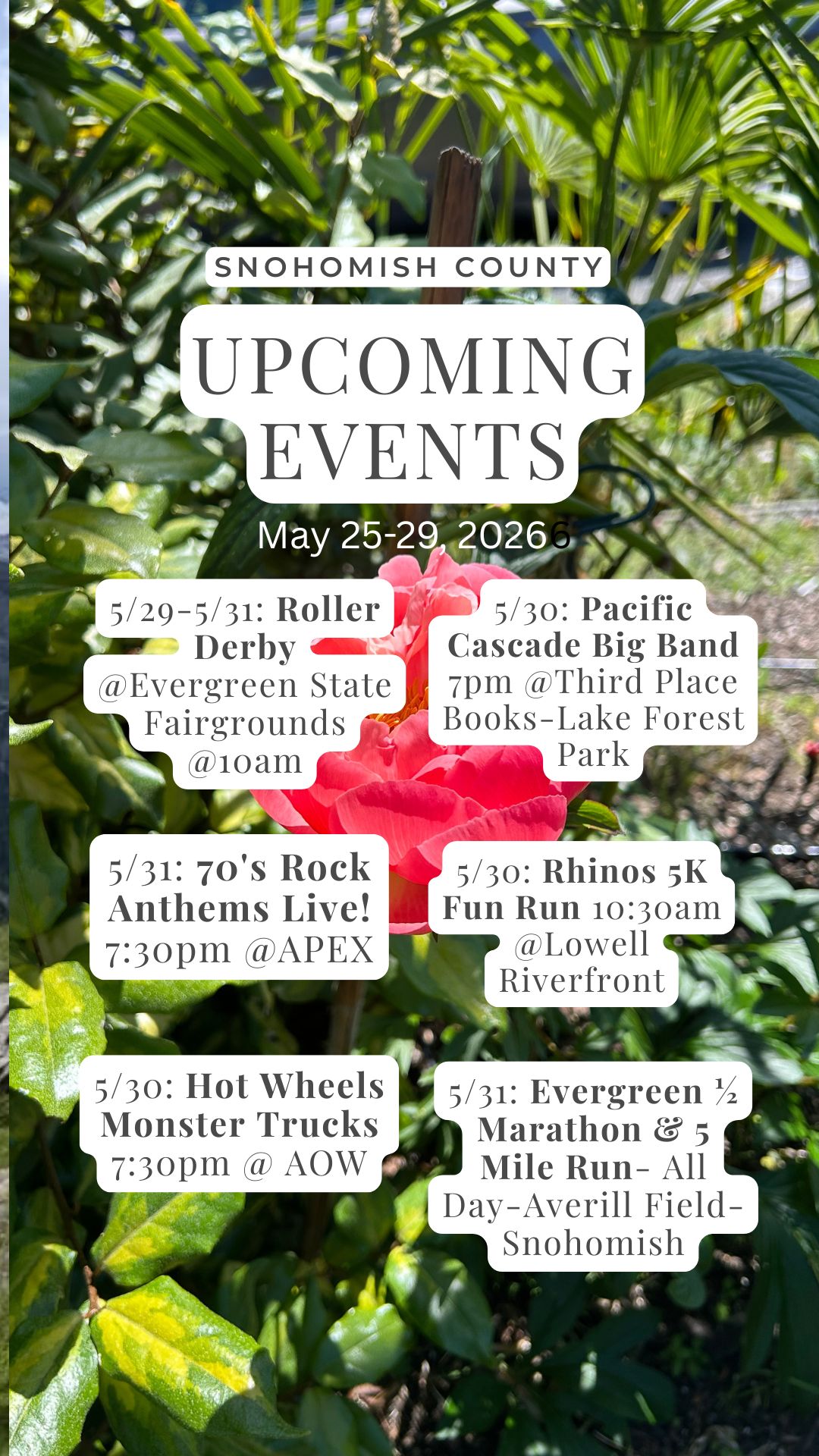Peony in background with list of events this coming weekend