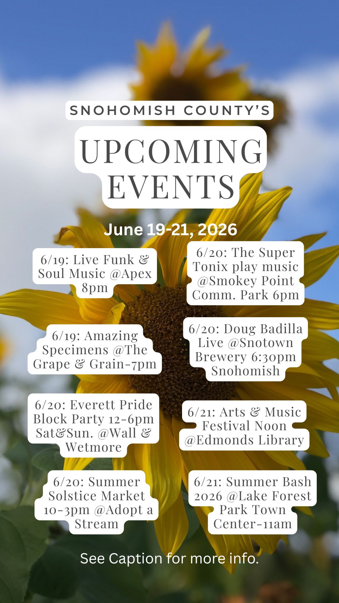 Sunflower amongst blue sky with a list of upcoming events.